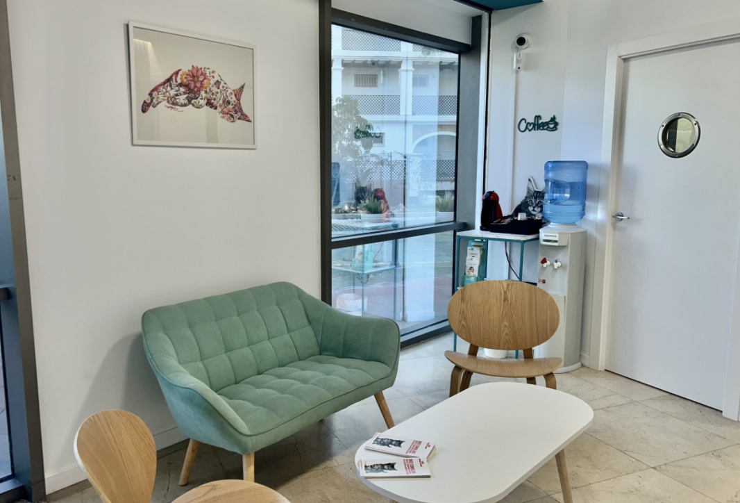 Sala de espera para gatos
